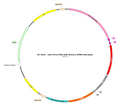 AAV-EF1α-fDIO-H2B-mCherry AAV Vector – Fluorescent reporter – Constitutive – EF1α promoter – mCherry reporter – for Cell labeling / tracing – BHV17100463