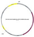 AAV-GfaABC1D-cATP1.0 AAV Vector – Constitutive – GfaABC1D promoter – BHV17200693
