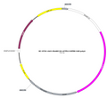 AAV-GfaABC1D-rATP0.5 (Not yet online) AAV Vector – Constitutive – GfaABC1D promoter – BHV17200694