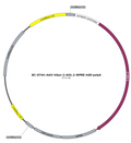 AAV-hSyn-2-AG1.2 AAV Vector – Constitutive – hSyn promoter – BHV17200703