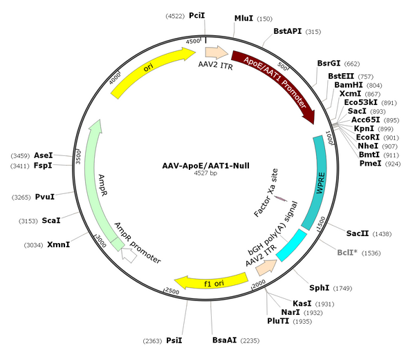 AAV-ApoE/AAT1-Null (AAV Serotype 8)