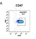 Anti-CD47 (magrolimab biosimilar) mAb – Figure 1 of 1