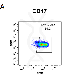 Anti-CD47 (magrolimab biosimilar) mAb – Figure 1 of 1