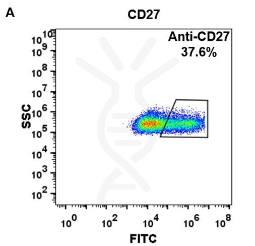 Anti-CD27 (varlilumab biosimilar) mAb – Figure 1 of 1