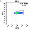 Anti-CD40 (iscalimab biosimilar) mAb – Figure 1 of 1