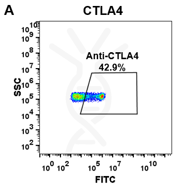Anti-CTLA-4 (ipilimumab biosimilar) mAb – Figure 1 of 1