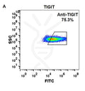 Anti-TIGIT (etigilimab biosimilar) mAb – Figure 1 of 1