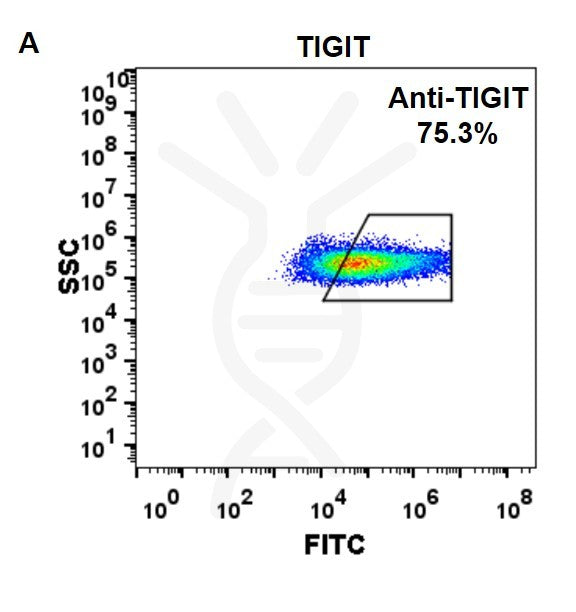 Anti-TIGIT (etigilimab biosimilar) mAb – Figure 1 of 1