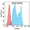Anti-CD20 (rituximab biosimilar) mAb – Figure 1 of 1