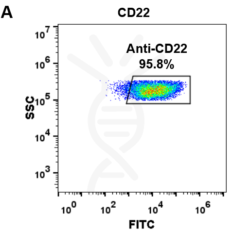 Anti-CD22 (pinatuzumab biosimilar) mAb – Figure 1 of 1