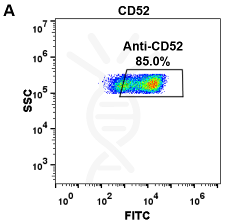Anti-CD52 (alemtuzumab biosimilar) mAb – Figure 1 of 1