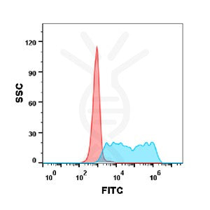 Anti-4-1BB (utomilumab biosimilar) mAb – Figure 1 of 1