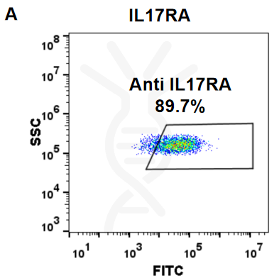 Anti-IL17RA (brodalumab biosimilar) mAb – Figure 1 of 1