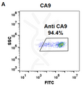 Anti-CA9 (girentuximab biosimilar) mAb – Figure 1 of 1