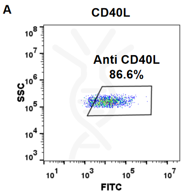 Anti-CD40 Ligand (ruplizumab biosimilar) mAb – Figure 1 of 1
