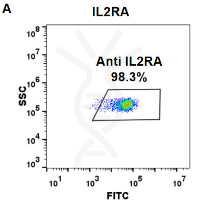 Anti-IL2RA (basiliximab biosimilar) mAb – Figure 1 of 1