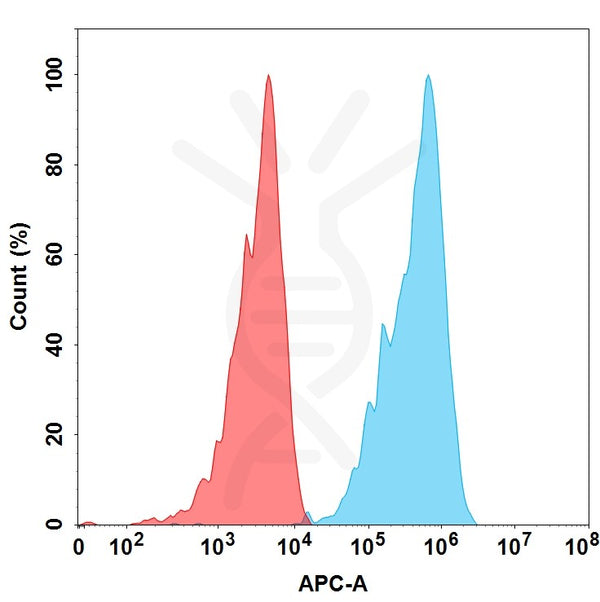 Anti-Her2 (trastuzumab biosimilar) mAb – Figure 1 of 1