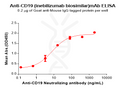 Anti-CD19 (inebilizumab biosimilar)mAb – Figure 1 of 1