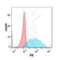 Anti-CSF1R(cabiralizumab biosimilar) mAb – Figure 1 of 1