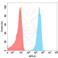 Anti-GFRA3(nadecnemab biosimilar) mAb – Figure 1 of 1