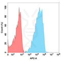 Anti-CD19(FMC63 biosimilar) mAb – Figure 1 of 1