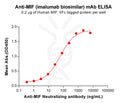 Anti-MIF(imalumab biosimilar) mAb – Figure 1 of 1