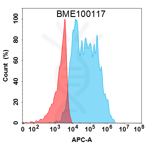 Anti-IFNAR1(anifrolumab biosimilar) mAb – Figure 1 of 1