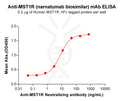 Anti-MST1R(narnatumab biosimilar) mAb – Figure 1 of 1