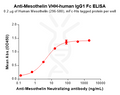 Anti-Mesothelin VHH-human IgG1 Fc – Figure 1 of 1