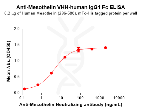 Anti-Mesothelin VHH-human IgG1 Fc – Figure 1 of 1