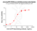 Anti-ALPP(TCRCure A06 Biosimilar) mAb – Figure 1 of 1