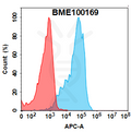 Anti-ROR2(ozuriftamab biosimilar) mAb – Figure 1 of 1