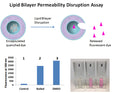 Lipid Bilayer Permeability Disruption Assay Kit – Figure 1 of 1