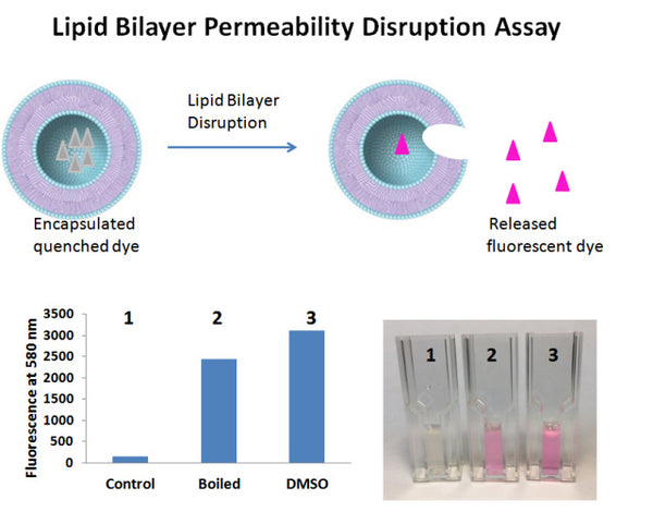 Lipid Bilayer Permeability Disruption Assay Kit – Figure 1 of 1