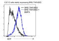 BRE Reporter Lentivirus – Figure 1 of 8