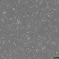 BRL cell