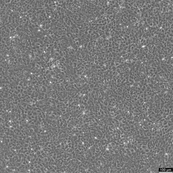 BRL cell