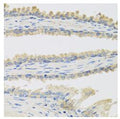Immunohistochemistry analysis of paraffinembedded Human prostate using INSL3 pAb at dilution of 1:100 (40xlens).