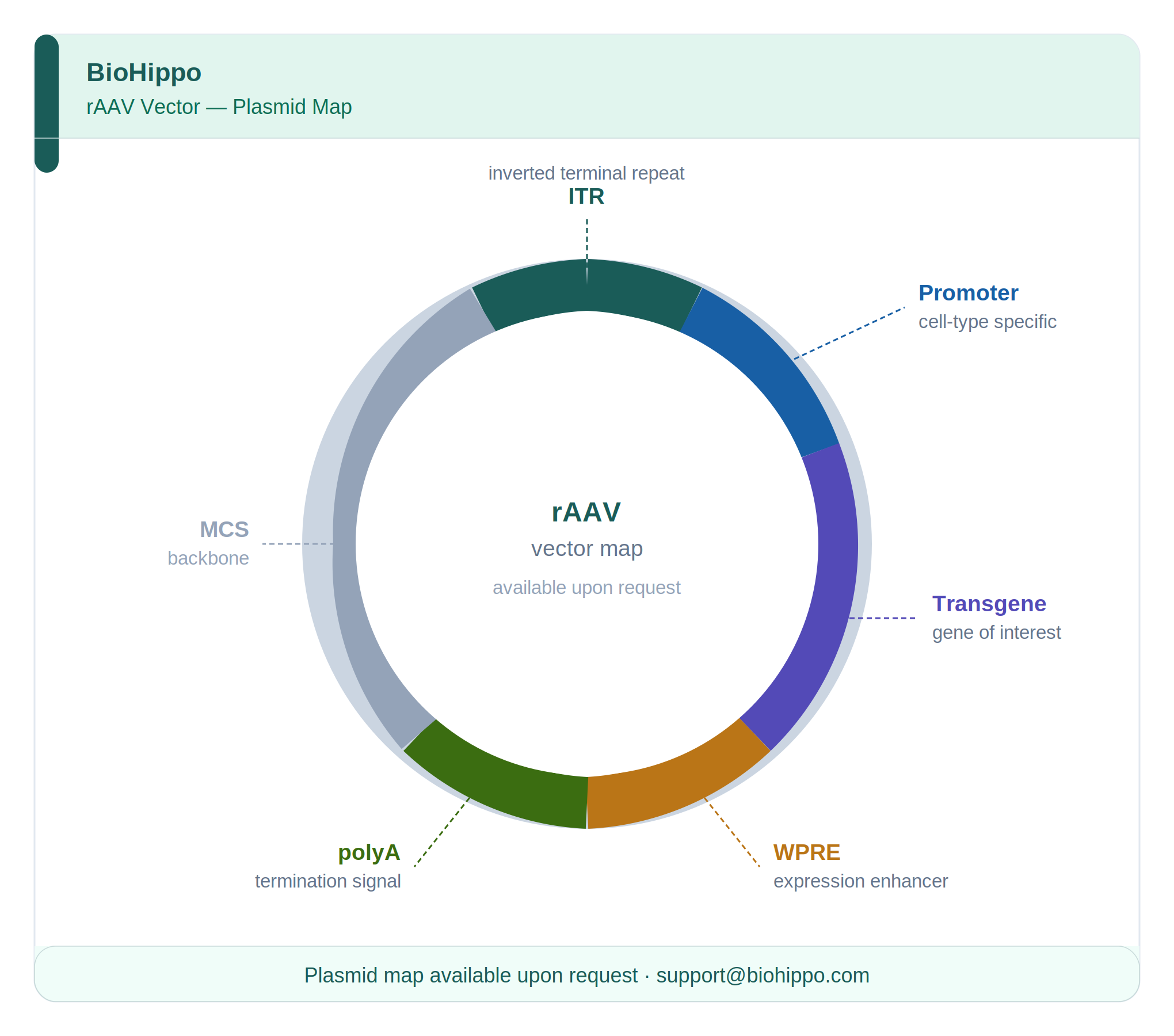 Cre-Dependent AAV hSyn DIO AVP1.0 (Not yet online)-EGFP – BioHippo