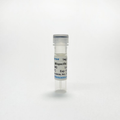 Tribio InVivoMAb Anti-HEGFRvIII & mCD3e Bispecific Antibody – Figure 1 of 1