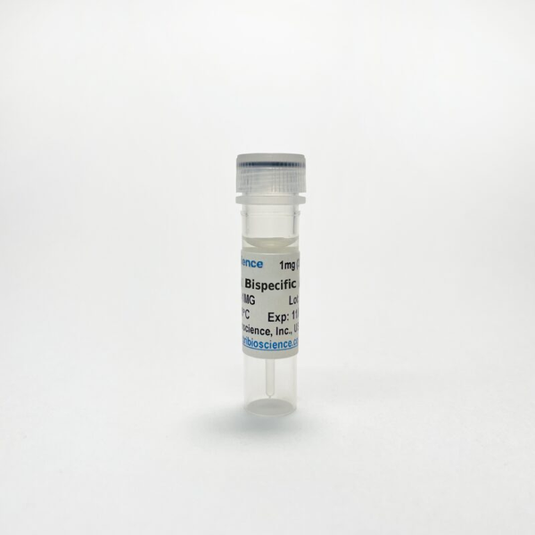 Tribio Anti-B7-H3 & EGFR Bispecific Antibody – Figure 1 of 1
