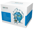 Anti-Danio rerio (Zebrafish) c3ar1 Antibody