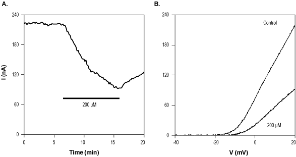 CP 339818 hydrochloride – Figure 1 of 2