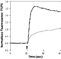Capsazepine – Figure 1 of 2