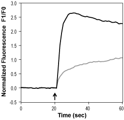 Capsazepine – Figure 1 of 2
