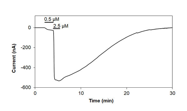 Capsaicin – Figure 1 of 3
