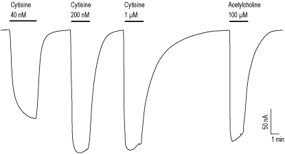 (-)-Cytisine – Figure 1 of 2