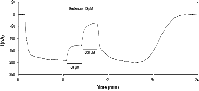 CNQX – Figure 1 of 2