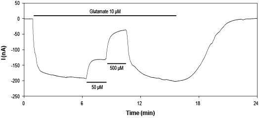 CNQX – Figure 1 of 2
