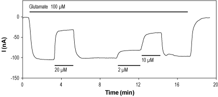 CNQX disodium salt – Figure 1 of 2